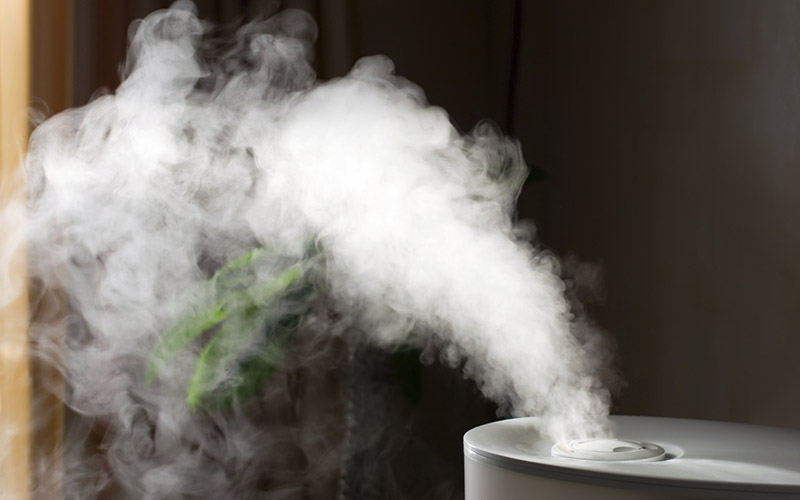 vapor coming from a humidifier