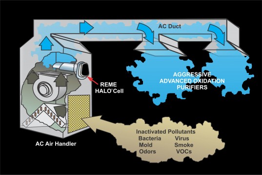 Reme halo diagram