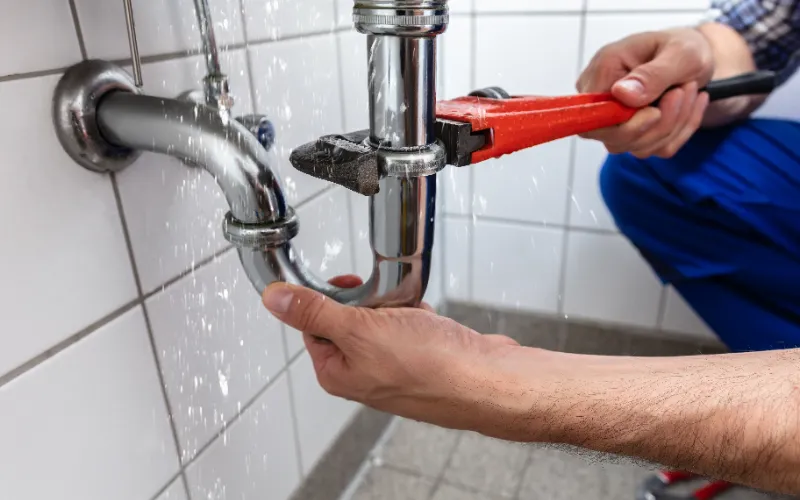 Leaking Drain Pipes In Bathroom